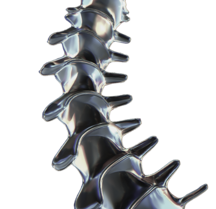 Spine
